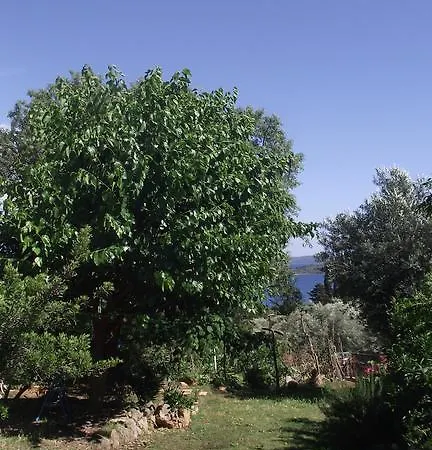 Appartement Nikostudios Nikiana